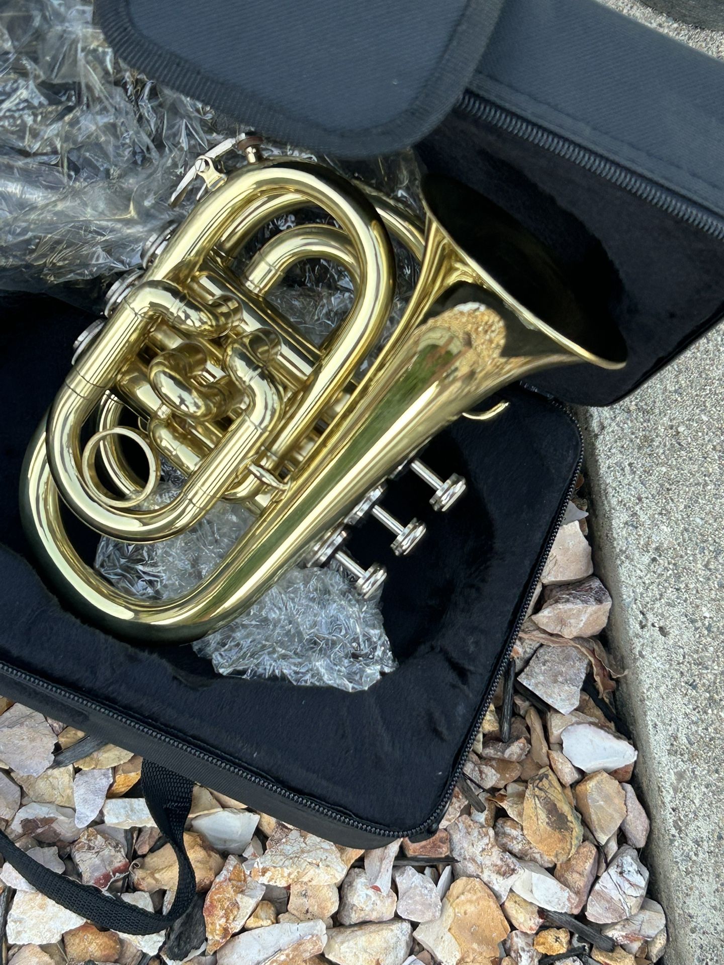 Pocket Trumpet 🎺