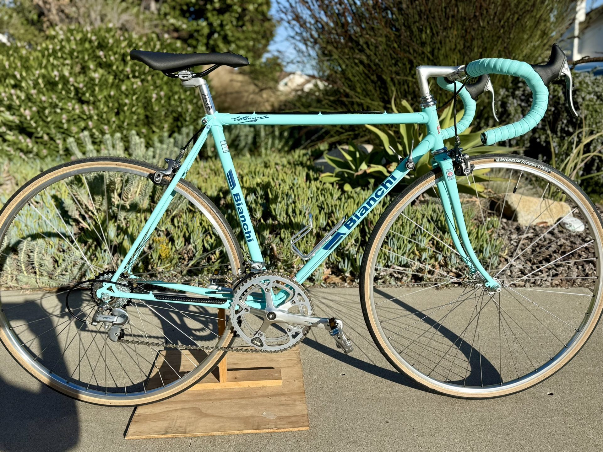 Bianchi Stelvio Classic Italian Road Bike