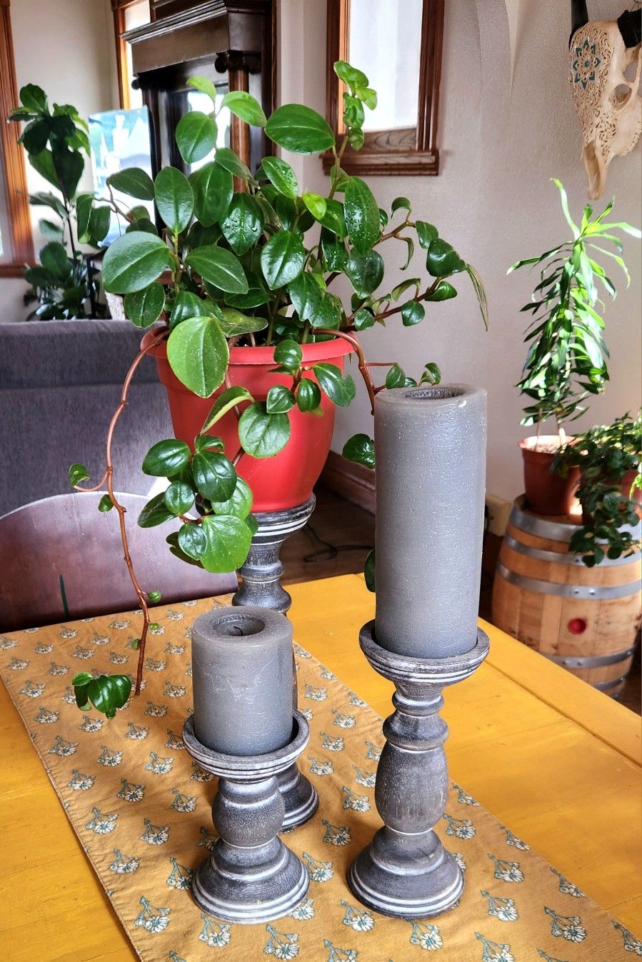 Candle Holders And Plant