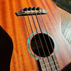 Cordoba Mini 4 String Acoustic Plug In Bass Guitar