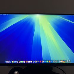 MSI 4K Monitor