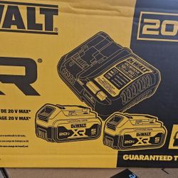 Dewalt 20v Batteries 5amp Charger - Bag