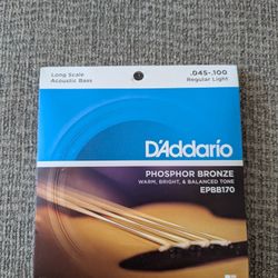 Acoustic Bass Strings