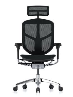 Ergohuman office chair