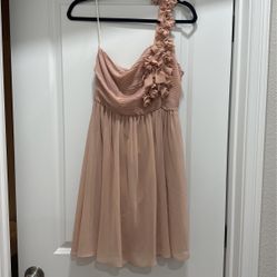 Blush Pink Dress