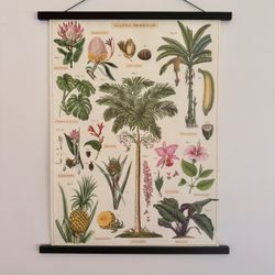 Set of Tropical Prints and Magnetic Frame