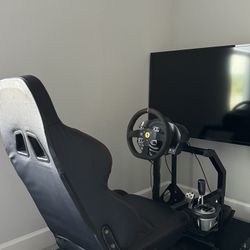 Thrustmaster Racing Sim Cockpit