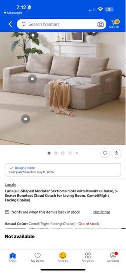 Boneless couch