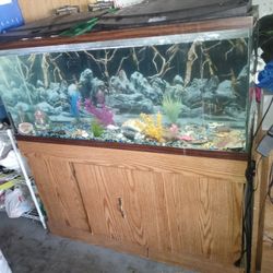 Fish Tank 55 galons $200
