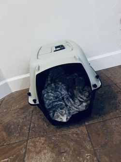 Dog Kennel