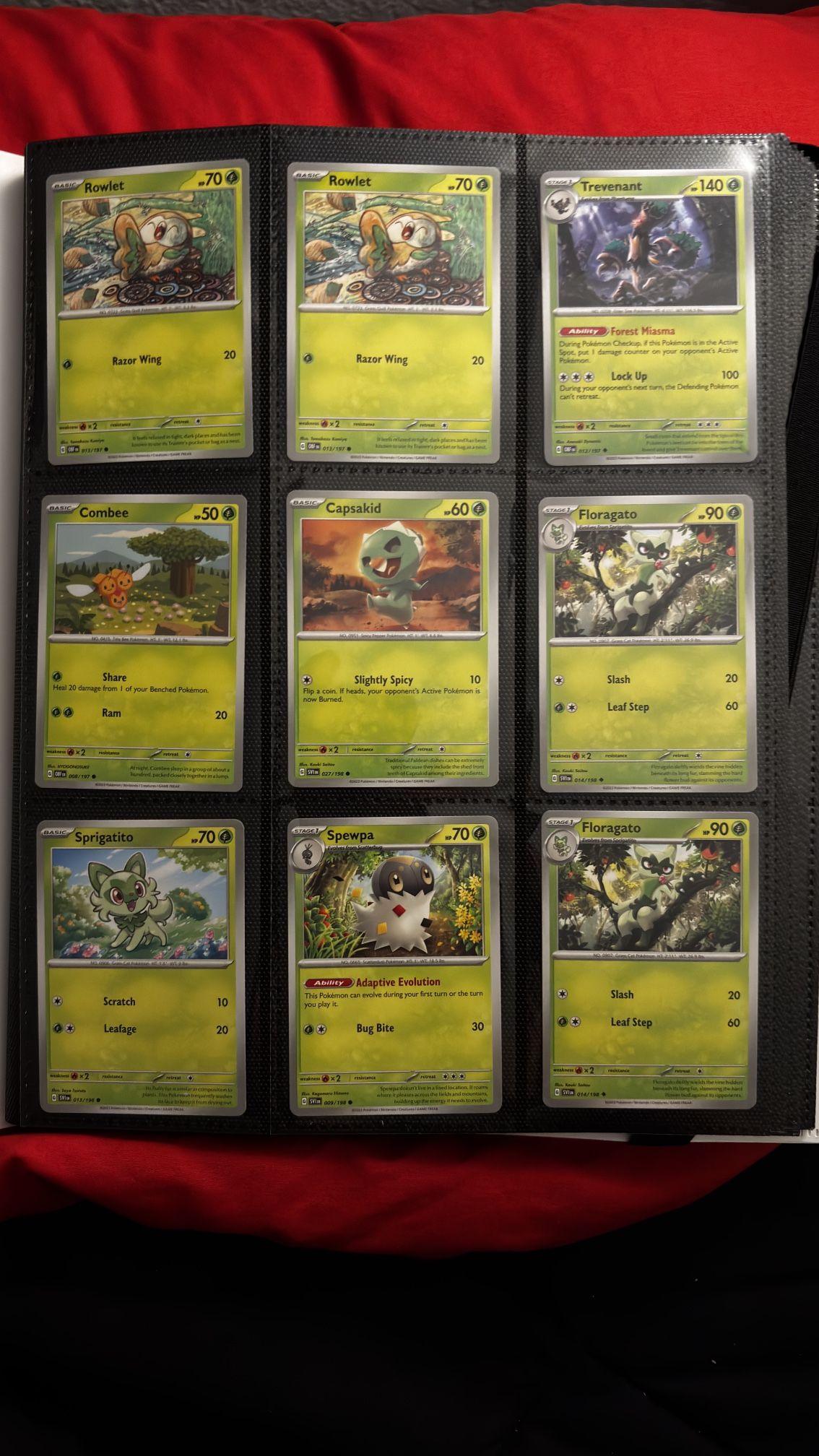 POKEMON CARDS ENGLISH & JAPANESE