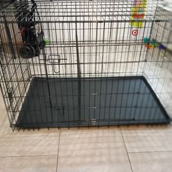 Dog Crate N Items