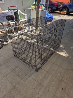 Huge cage crate
