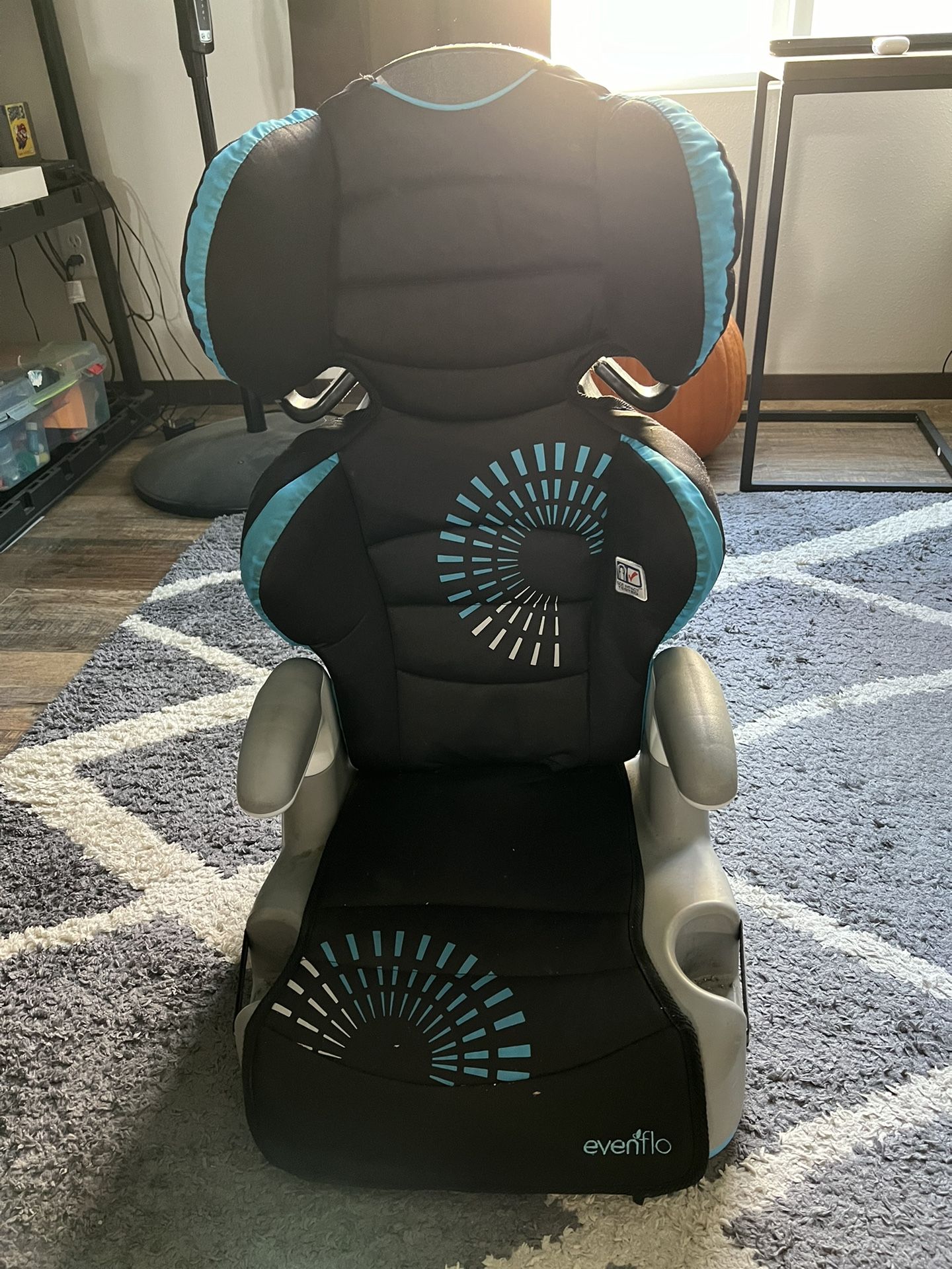 Evenflo brand booster seat