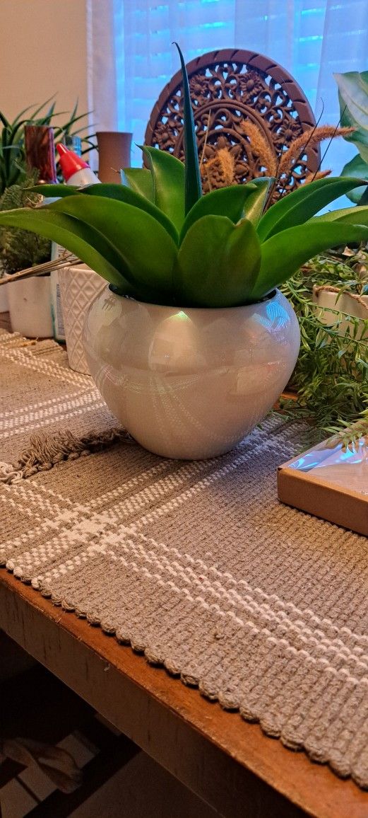 Fake Plants