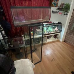 Big Reptile/fish Tanks Send Offers 