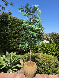 Faux Tree