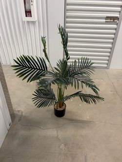 Faux Plant