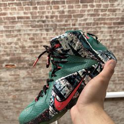 LeBron 12 Size 10 