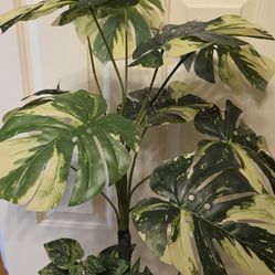 Mister artificial plant