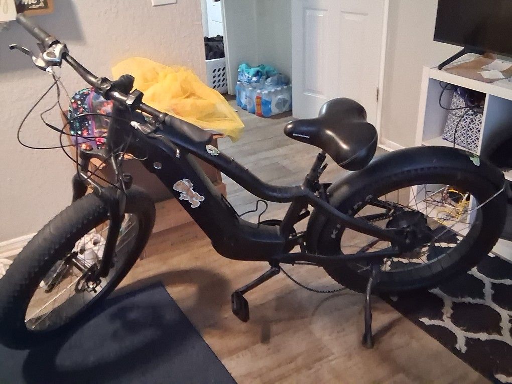 I Have A Mozo Electric Bike For Sale