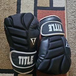 Boxing Gloves Title Boxing
