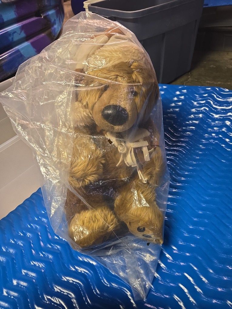 JCP Holoday Bear In Plastic