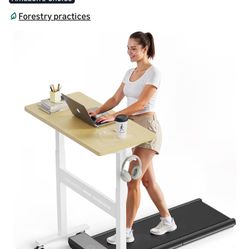Sit/Stand/Walking Desk