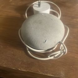 Google Echo 
