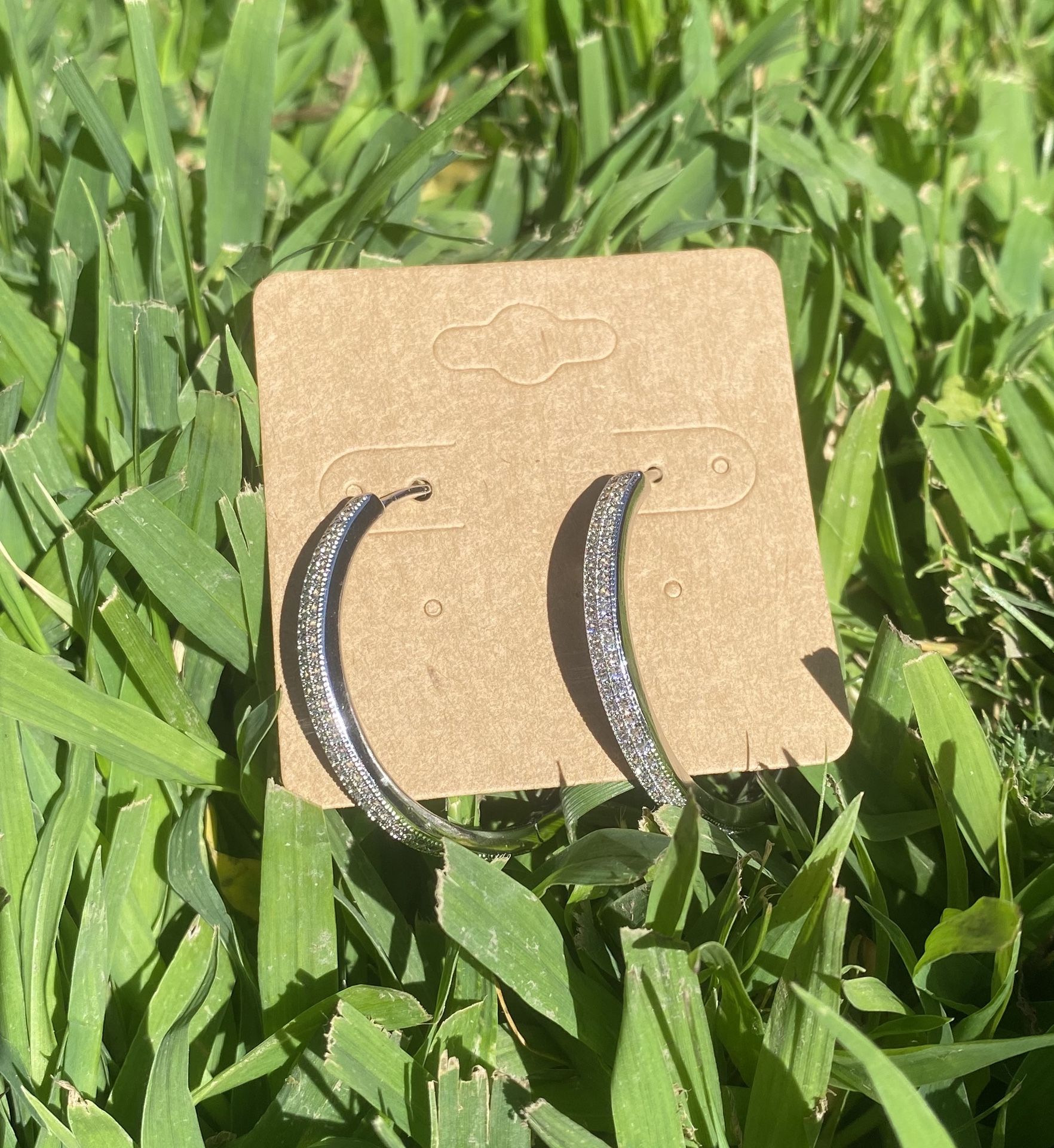Shiny Silver Hoops