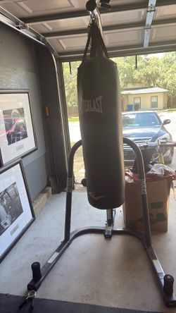 Punching bag and gloves