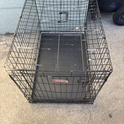 Dog Kennel