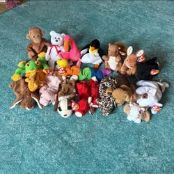 Beanie Babies Collection 