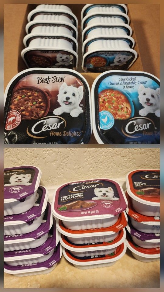 Cesar Dog Food x24 Packs * 50 Cents Each =$12