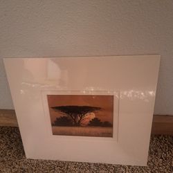 African Sunset photograph signed (Artist Malachi Smith)