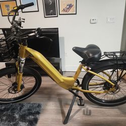 Custom Electric Bike