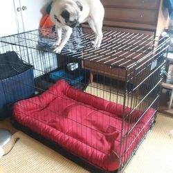 XXL Big Dog Wire Kennel Crate Bed With Durable KONG Pet Bed 