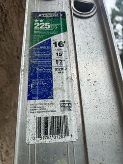Werner 16ft Ladder