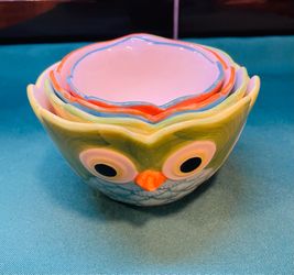 Beautiful and colorful Pier 1 Imports Owl nesting bowl measuring cups
