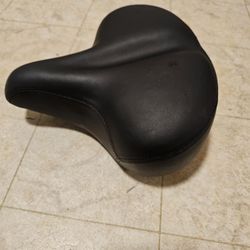 Bike Seat $15