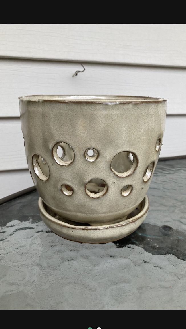 Tiny Bubbles Orchid Pot