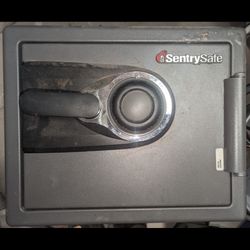 Sentry Safe