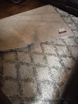 Safavieh 8x10 shaggy carpet