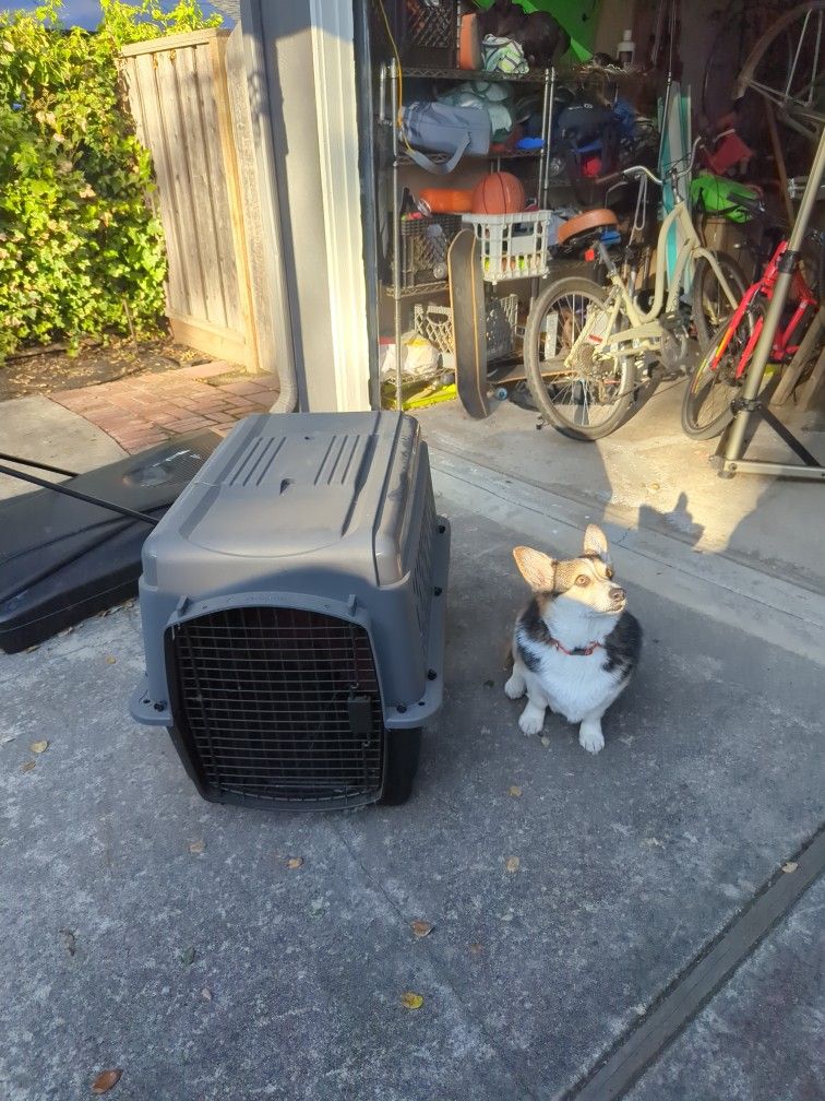 Large dog crate! dog not included :)