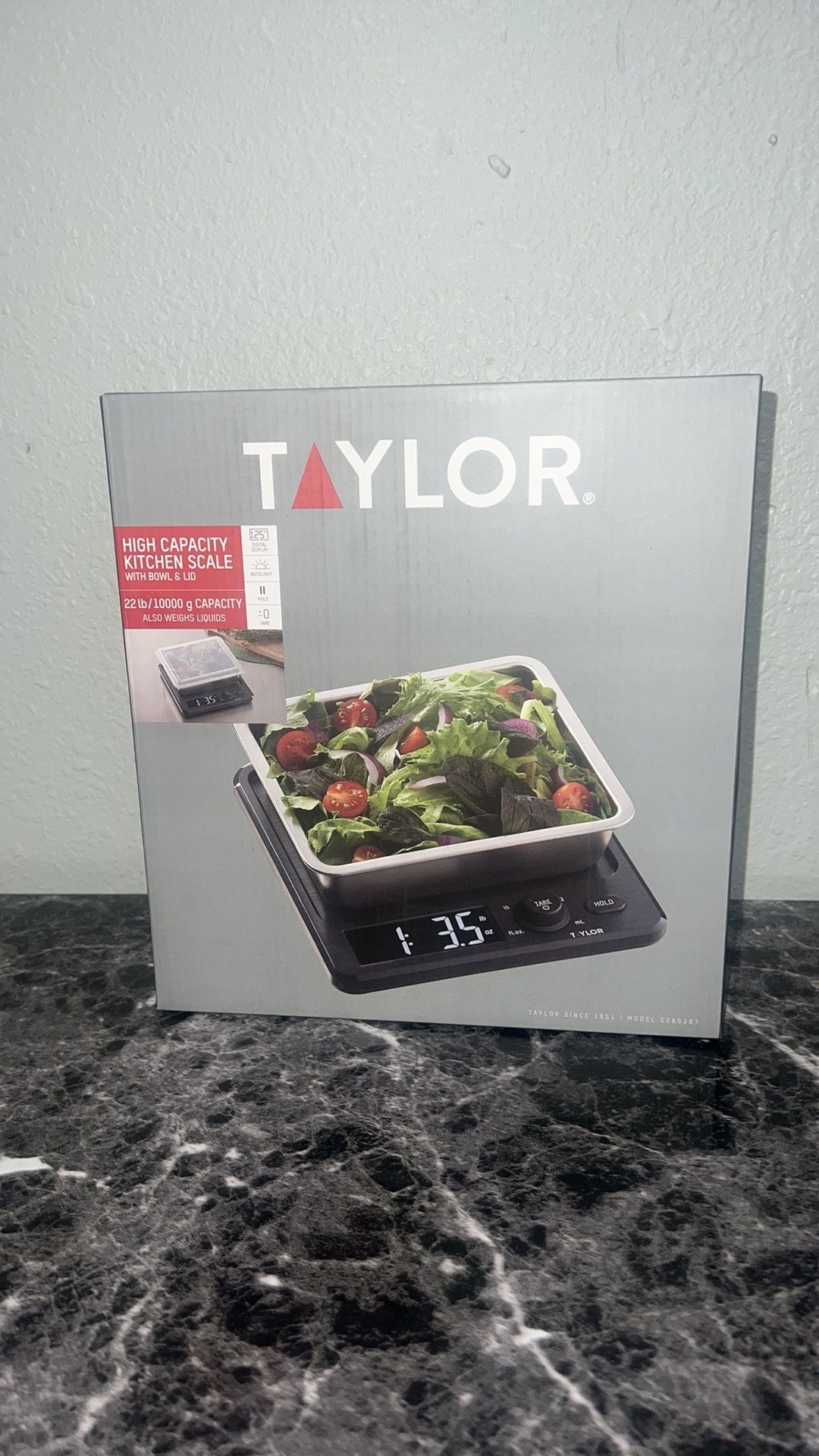 Taylor Kitchen Scale with Container & Lid