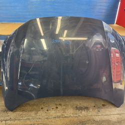 Civic 2022 2023 2024 2025 Hood