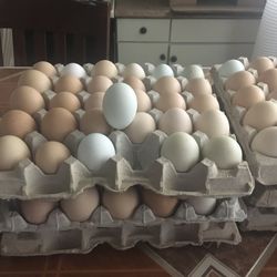 Eggs And  Chickens For Sale