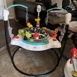Fisher-Price exersaucer/bouncer