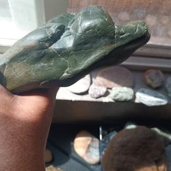 Petrifiedwood Reptile Shaped 