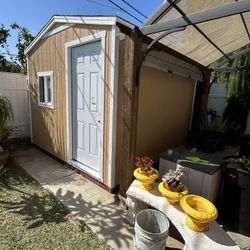 Storage Shed 10x10x8